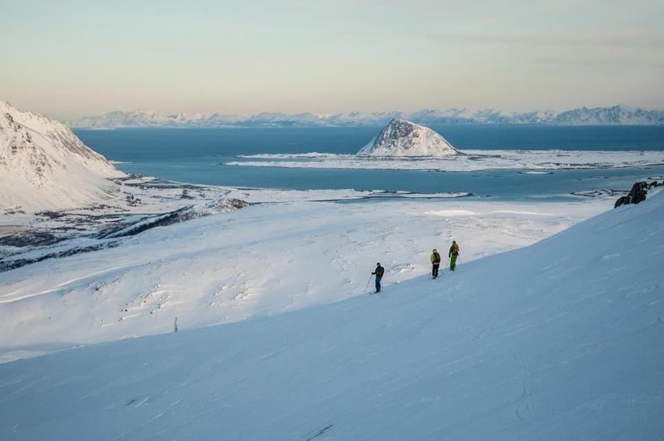 Lofoten Sea *