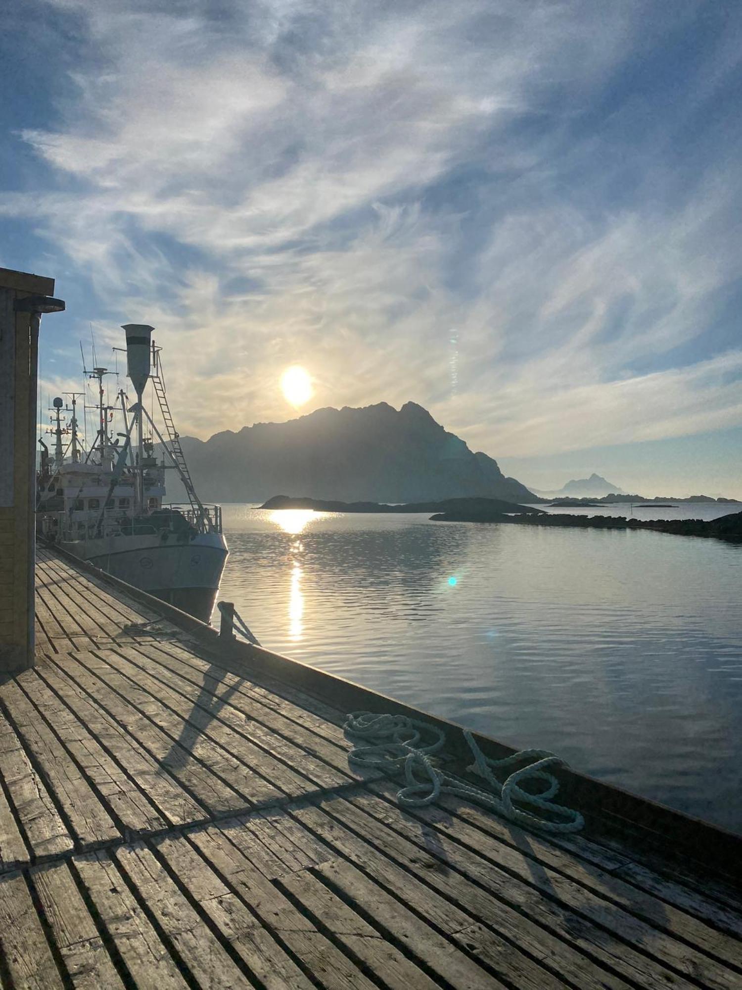 Lofoten Sea Apartment Sennesvik